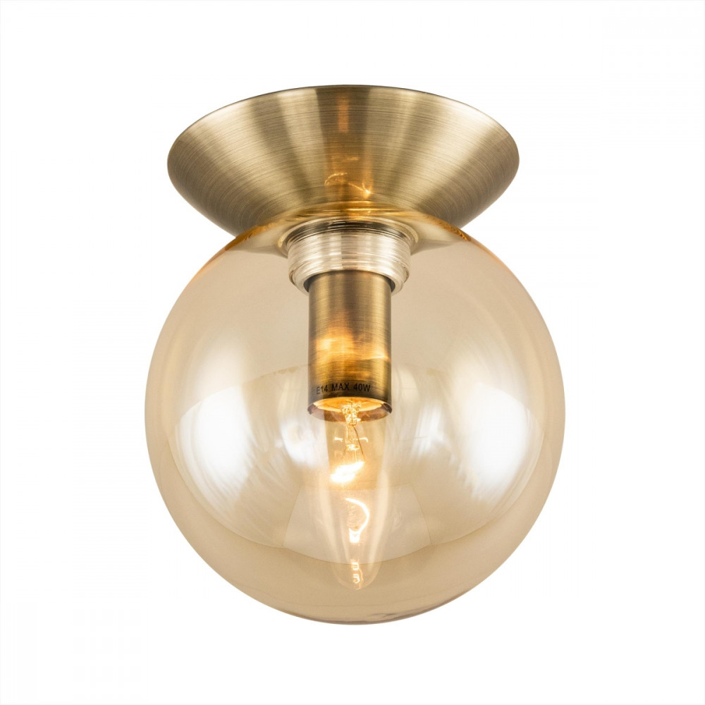 Настенно-потолочный светильник Томми CL102513 Citilux