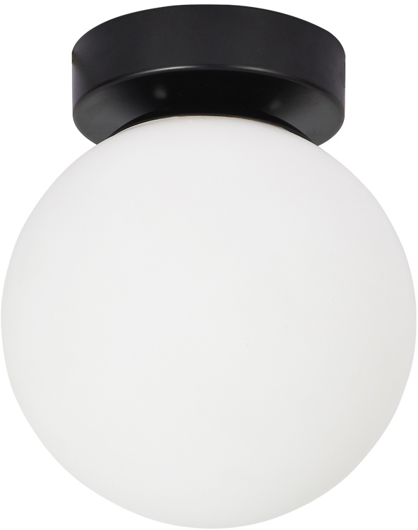 Настенно-потолочный светильник Alcor A2224PL-1BK Arte Lamp