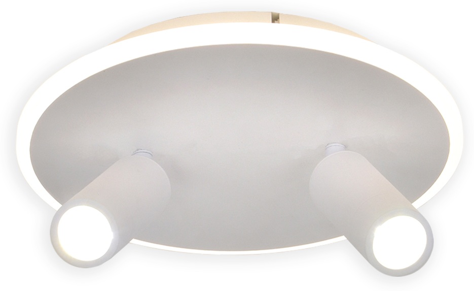 Настенно-потолочный светильник 20046SMA/02LED WH Escada