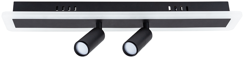Настенно-потолочный светильник Tommy A2607PL-22BK Arte Lamp