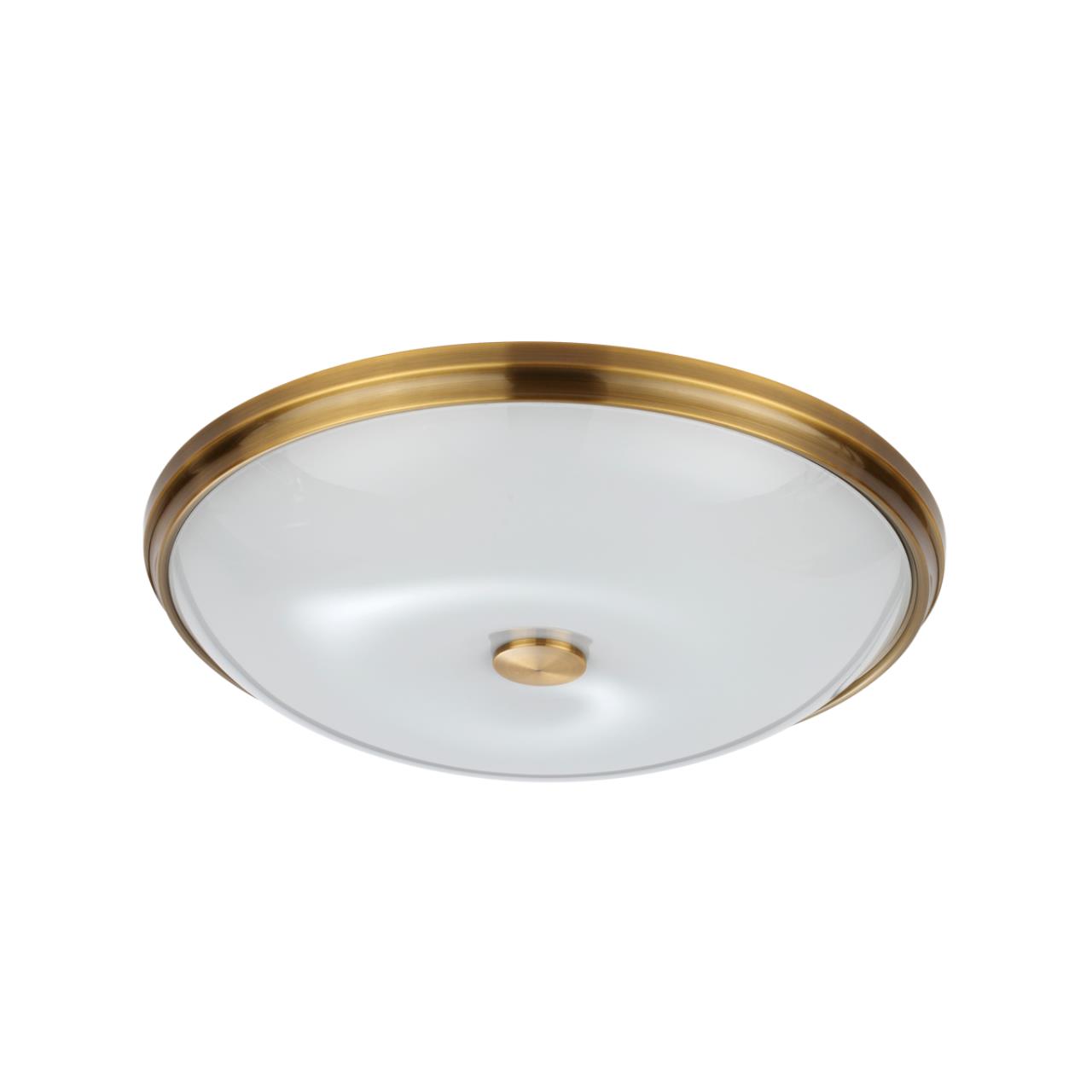 Настенно-потолочный светильник Pelow 4956/5 Odeon Light