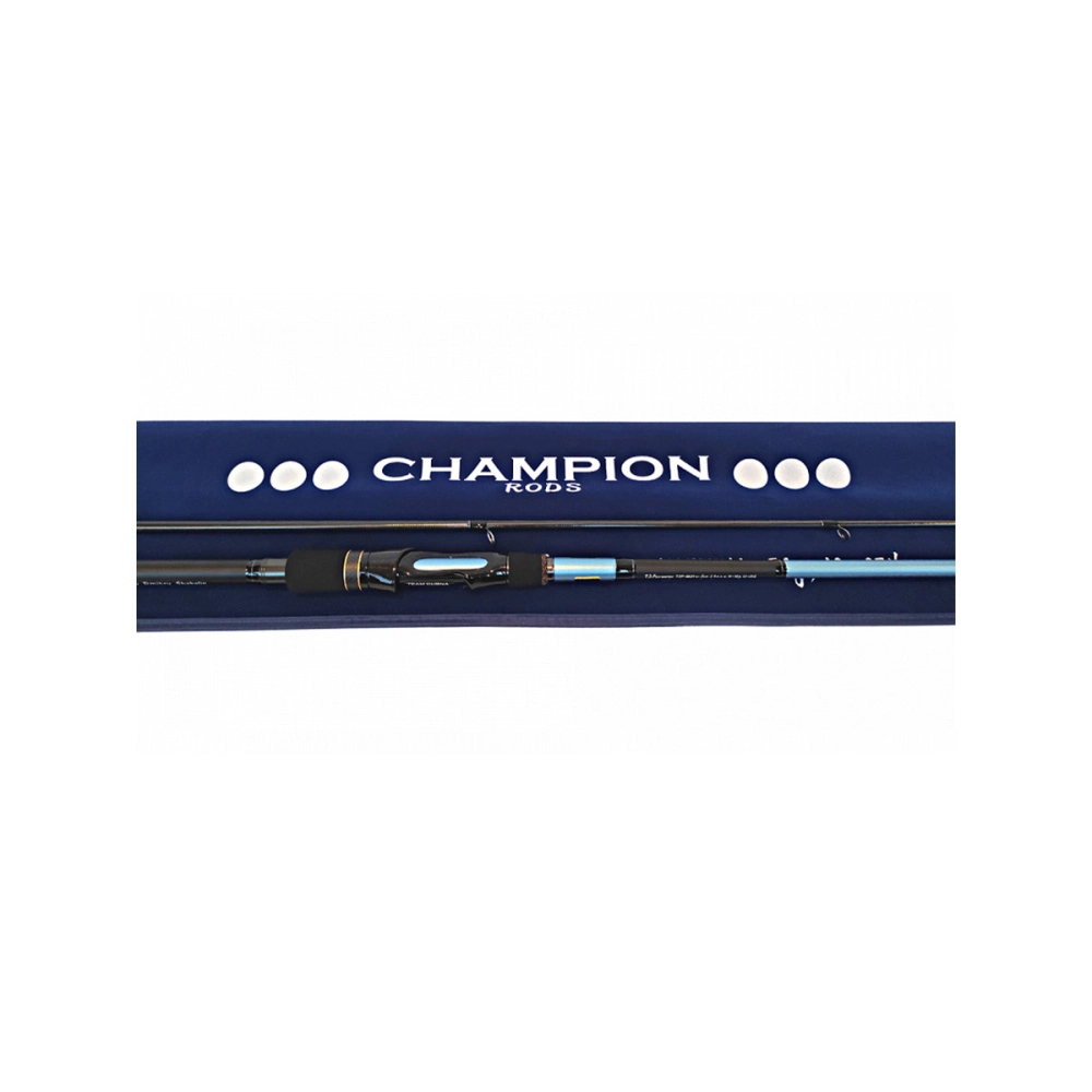 Спиннинг Team Dubna Farwater TDF-862MH штекерный 2,6м 10-42гр