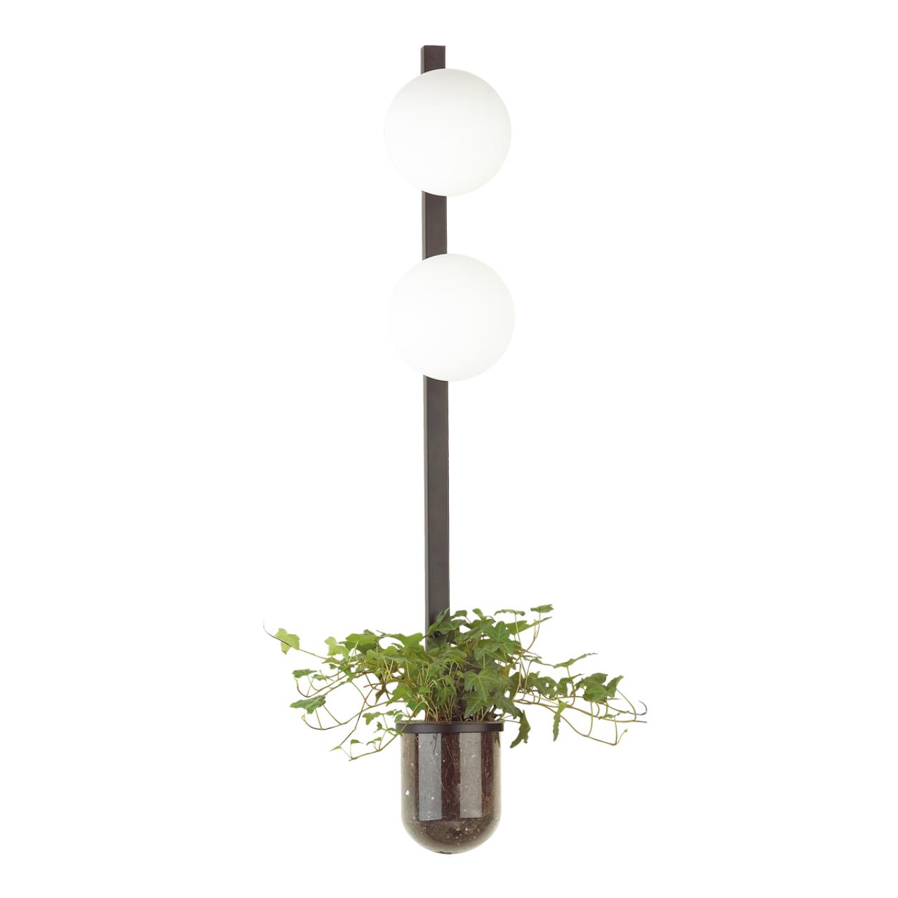 Настенный светильник Flower 4681/2WA Odeon Light