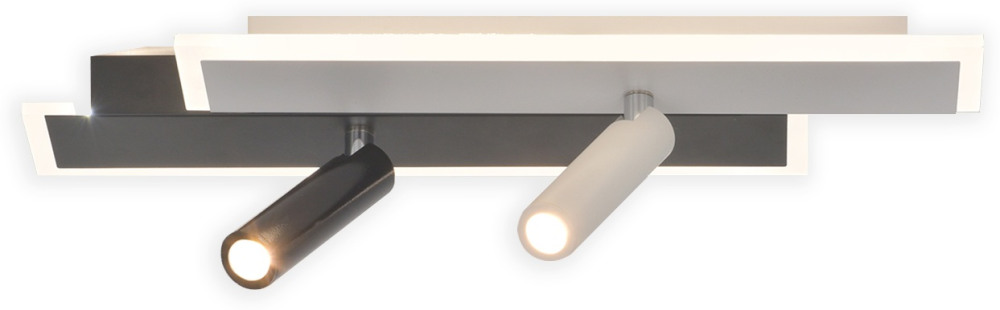 Настенно-потолочный светильник 20047SMA/01LED WH/BK Escada